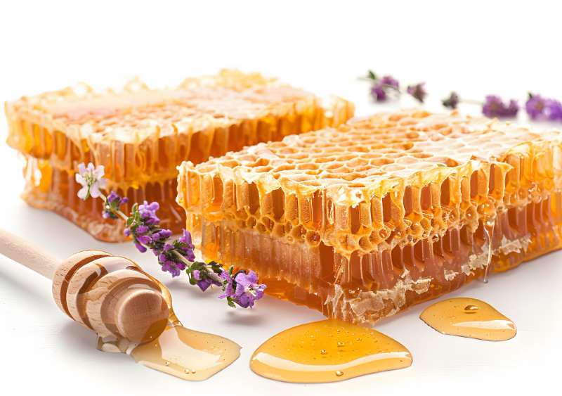 Propolis - Produkte WR-Products®