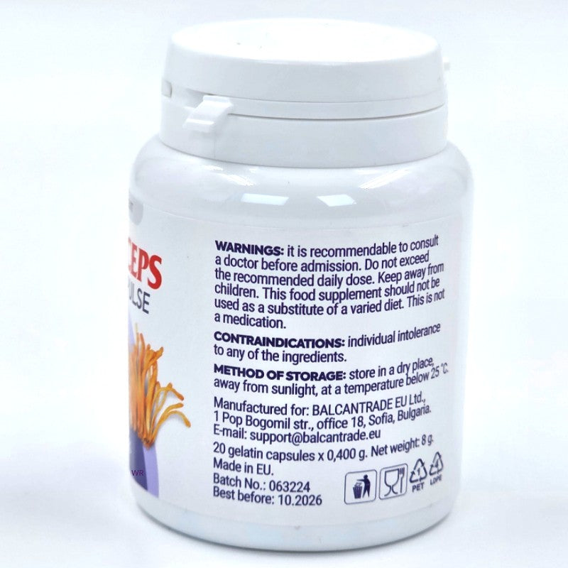 Cordyceps_3