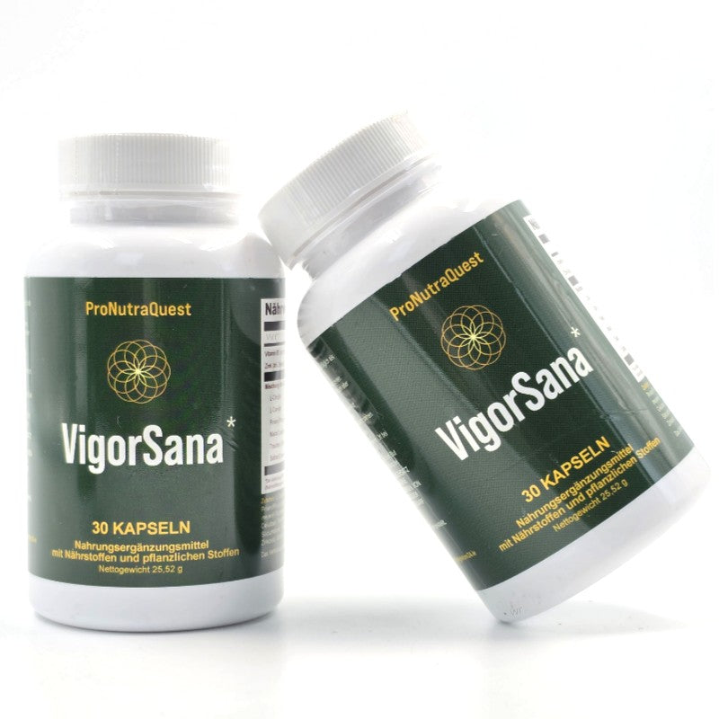VigorSana_3